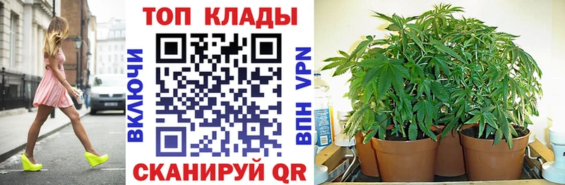 Где купить наркотики Гвардейск Cocaine Псилоцибиновые грибы НБОМе Гашиш Марихуана