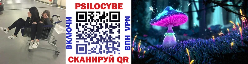Псилоцибиновые грибы GOLDEN TEACHER  OMG как зайти  Гвардейск 